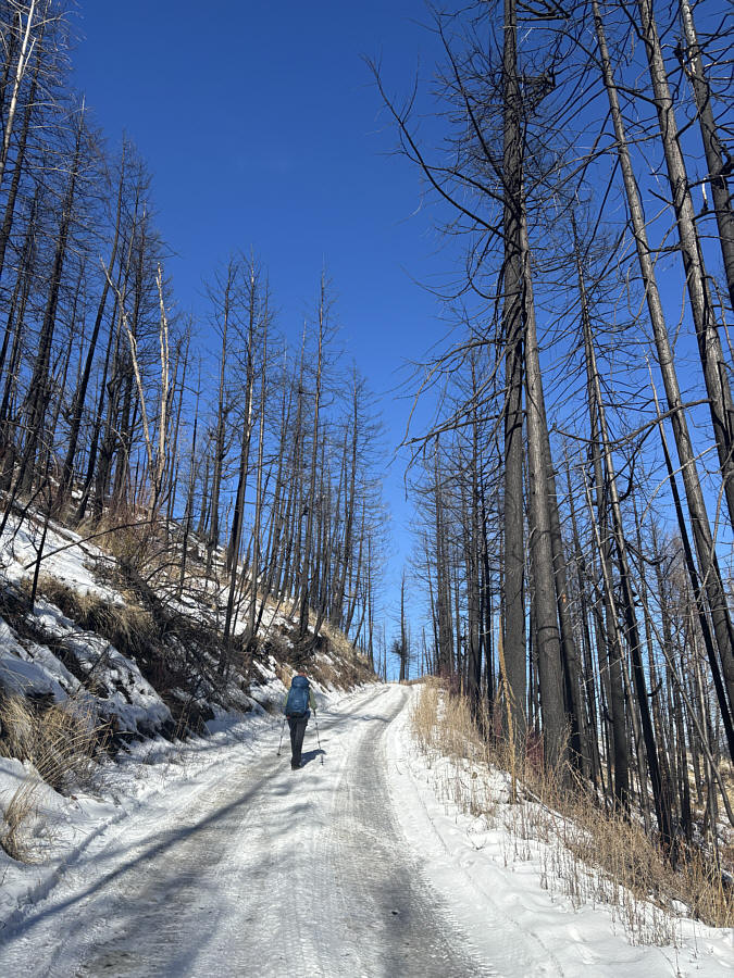 Ice cleats recommended!
