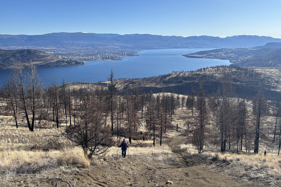 Watch out for people shooting guns around here!