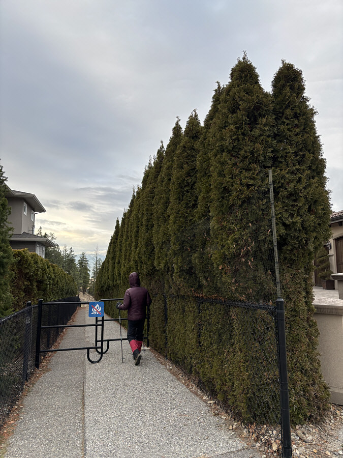 Definitely don't build a fire in this corridor!