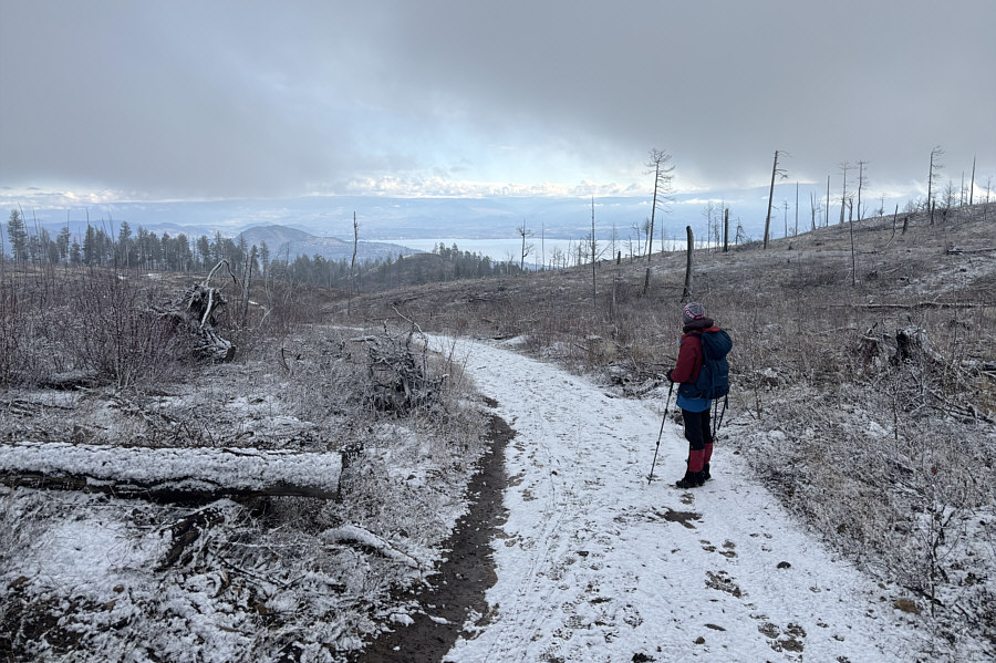 A surprising number of footprints here even though we only saw one man and his dog.