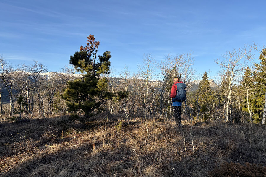 Some hints of good views to the west...