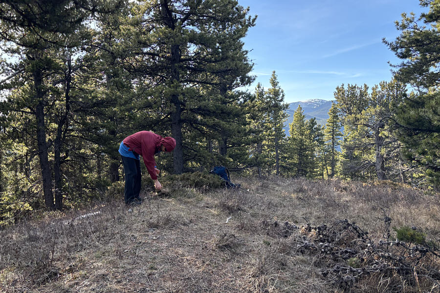 Highest point of the entire hike!