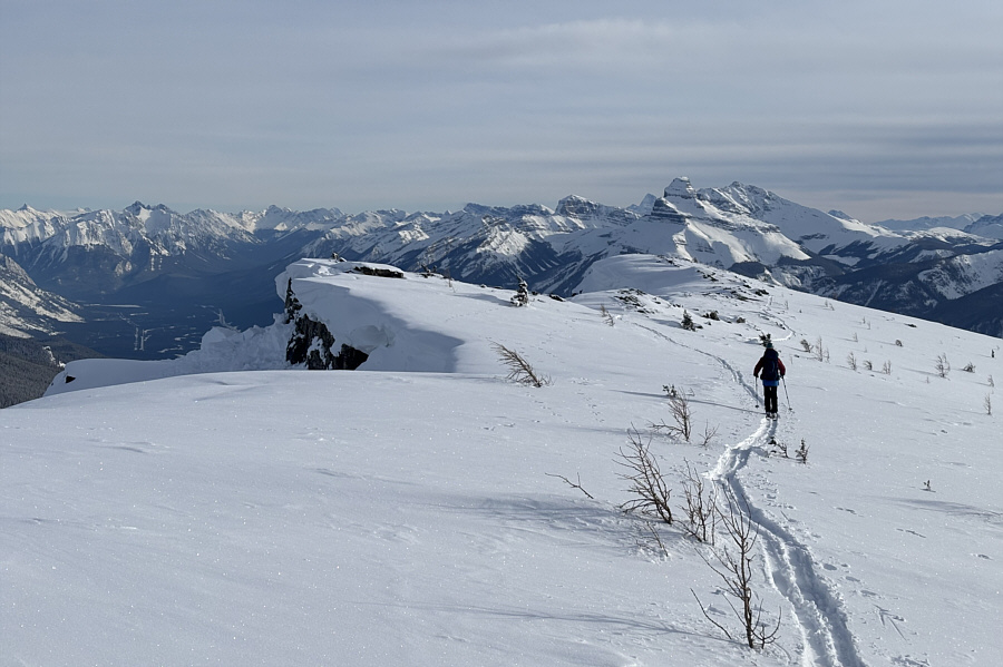 Can you spot Mount Assiniboine?