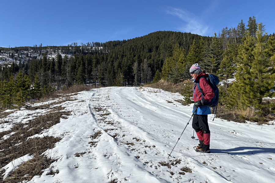 We saw two quads come down the dirt bike road...slowly!