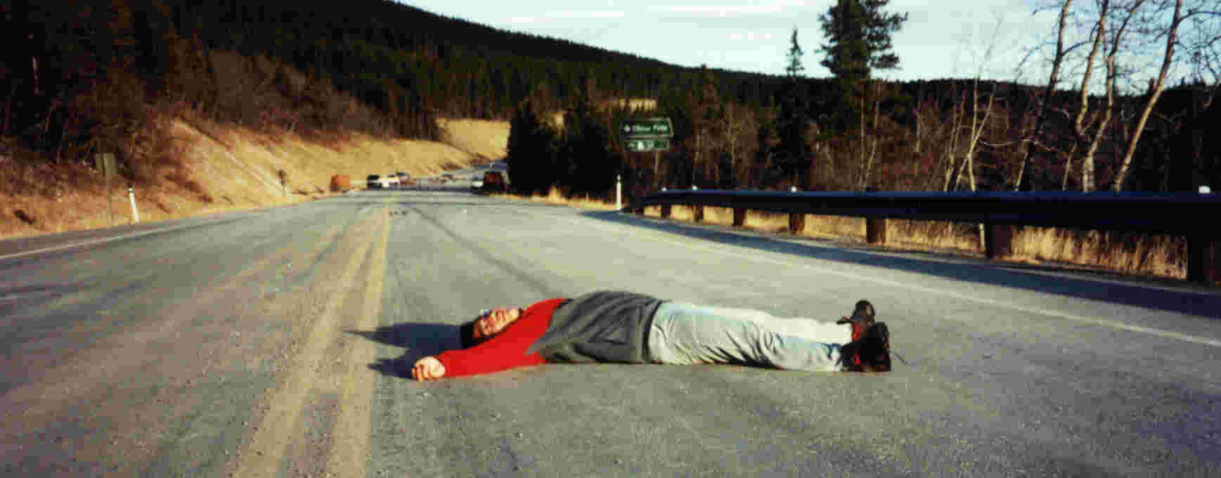 roadkill