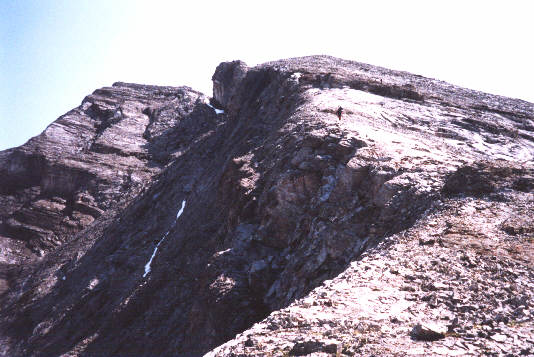 This is where all the hard work pays off!