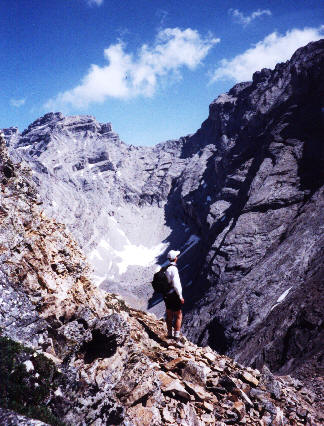 Finally, no more bugs...for awhile!