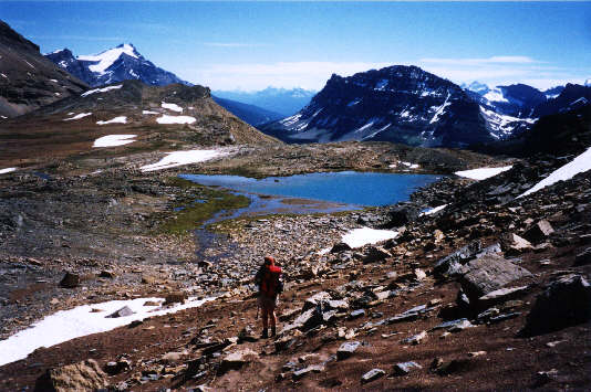 Wonderful wanderings!