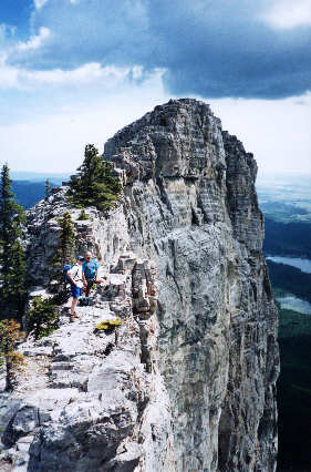 Everyone's favourite Yam photo op.