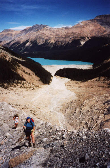 Seems like a long way back to Peyto Lake.
