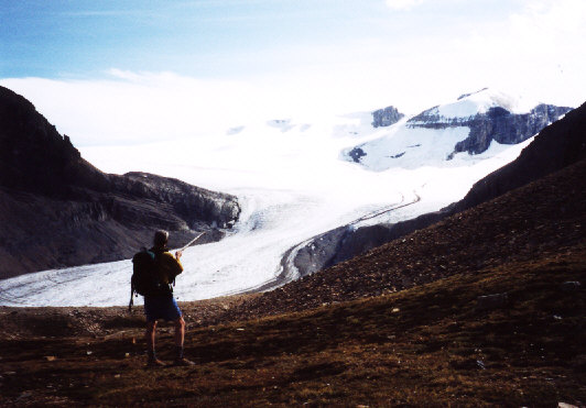 I wonder who left those big ski tracks?