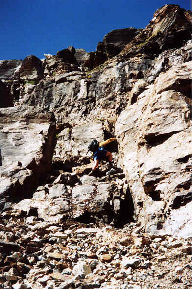 Delightful Scrambling!