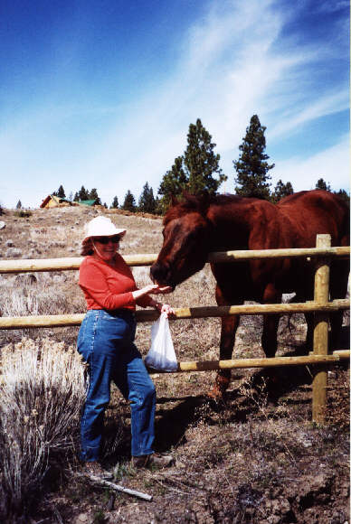 A bag of apples is a horse's best friend!