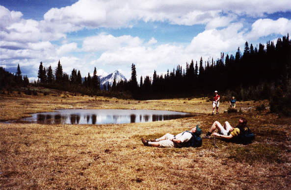 Great place for a snooze!