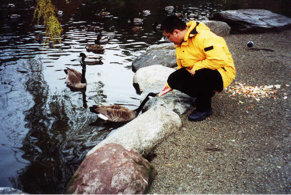Even the birds are on welfare in British Columbia...