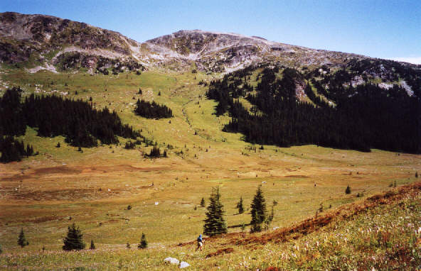 Sigh...gotta go down before going up again!