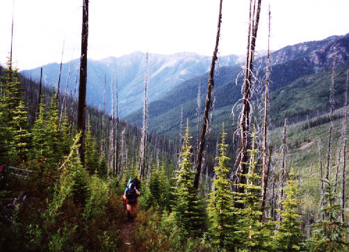 Where's that bloody campground?