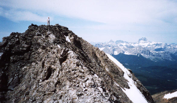 Ice cream would be nice right about now!