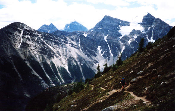 Beats hanging around the crowded teahouse.