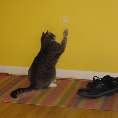 Hours of entertainment.