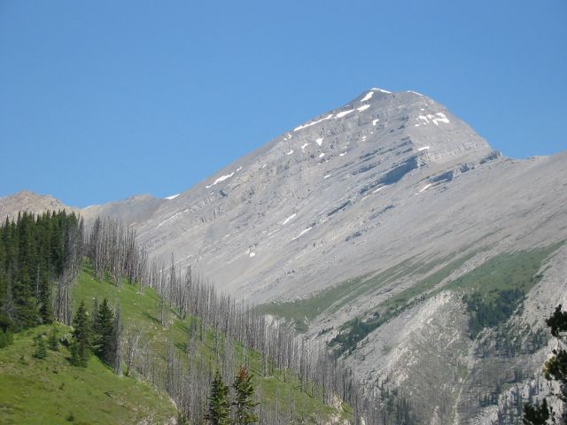 Mount Aylmer