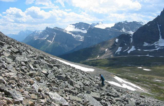 Let the scrambling begin!