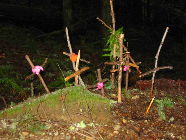 Blair Witch Project 2?