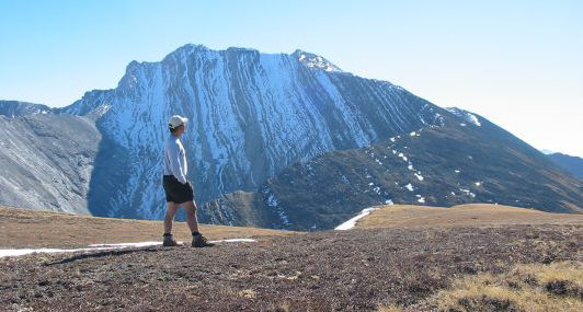 Should I stay or should I go?