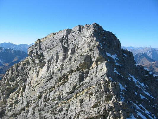 What was I thinking?!