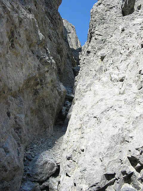 Left Side Of The Fin