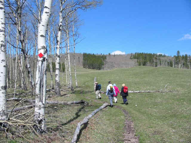 A nice day for a walk.