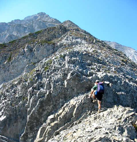 The Never-Ending Scramble