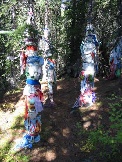 Signs of the Blair Witch?