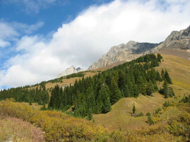 A long slog ahead...