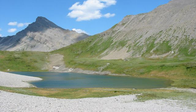 Worth a lot of blood, sweat and tears.