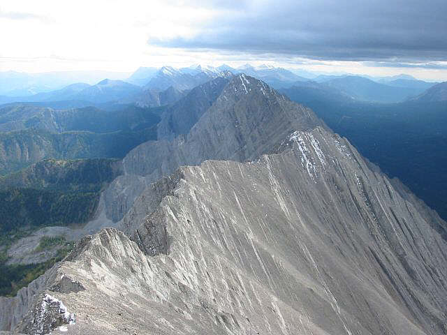 Future explorations?