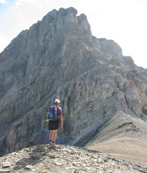 Doesn't look that bad...