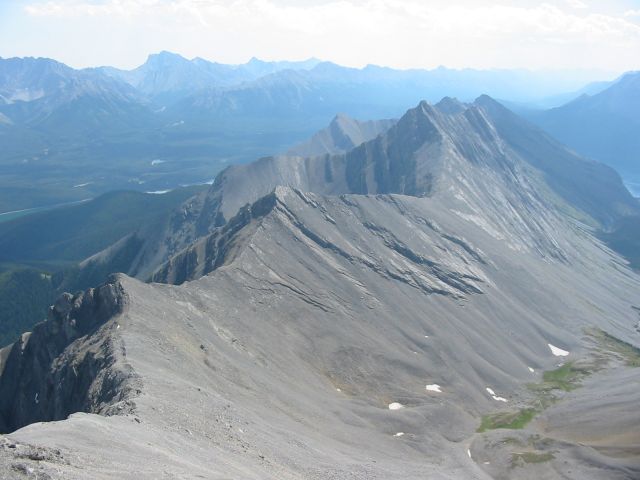 Should I stay or should I go?