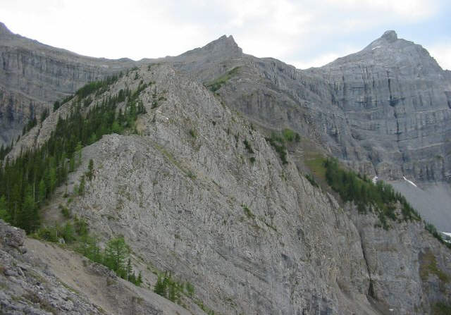 What was I thinking?!