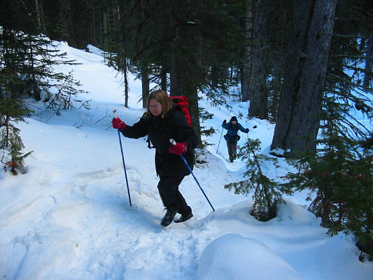 Yeah, you could maybe ski up this, but why put up with all that misery?!