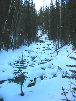 Come back in the summer.