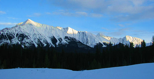 Can't wait until scrambling season!