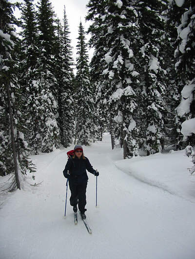 Excellent ski conditions!