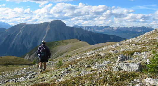 A nice place to take a nap in the sunshine!