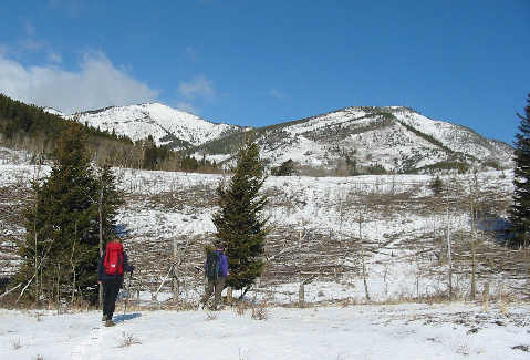 The hills have eyes...