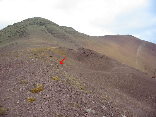 Looks easy enough...