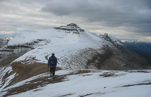 The Never-ending Scramble!  Zzzzzzzzzzzzzzzz...