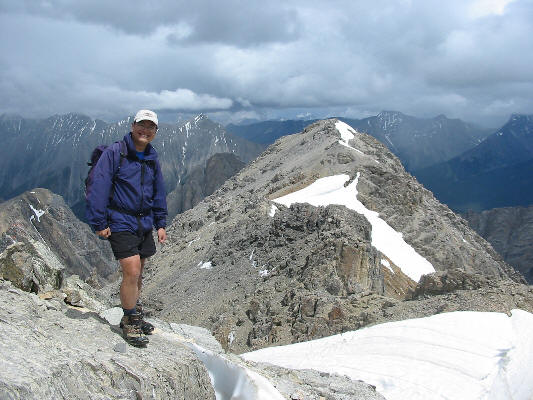 Doesn't look as bad in the sunshine!