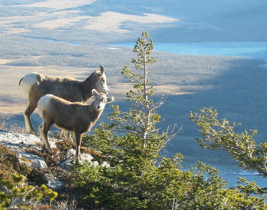 It's not polite to stare!