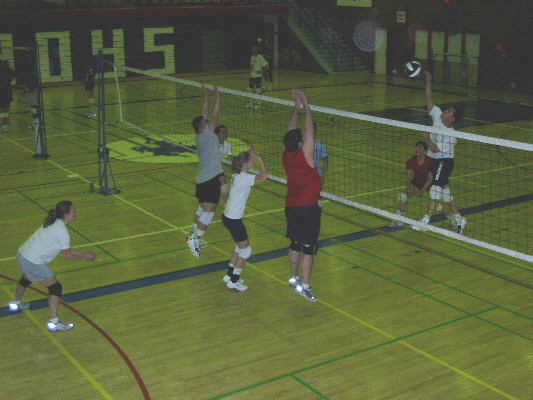 Block, Gayle!  Block!